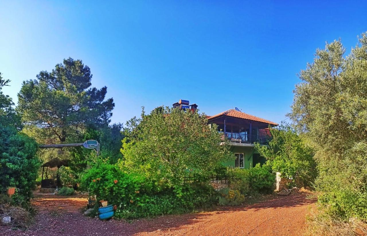 vita campıng otel Geyikbayiri Dış mekan fotoğraf