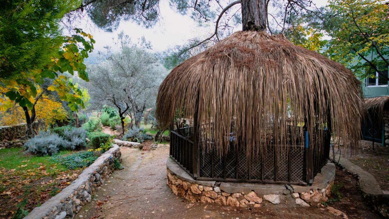 vita campıng otel Geyikbayiri Dış mekan fotoğraf